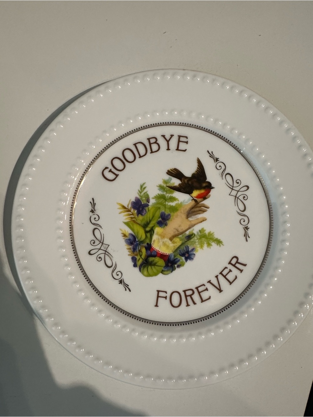 Dollskill Home Goodbye Forever Decorative White Ceramic Plate with Bird Motif